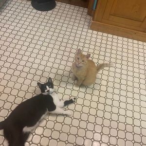 Meet your Posher, Hope